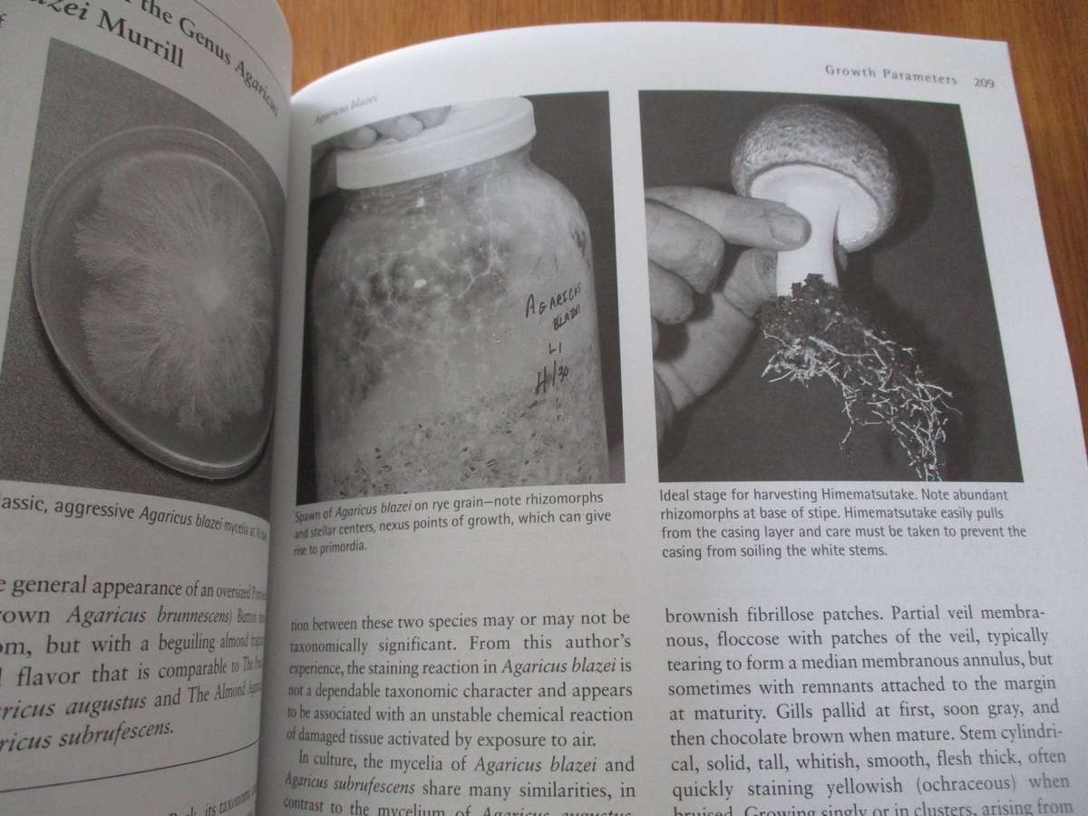 Growing Gourmet and Medical Mushrooms (Paul Stamets)