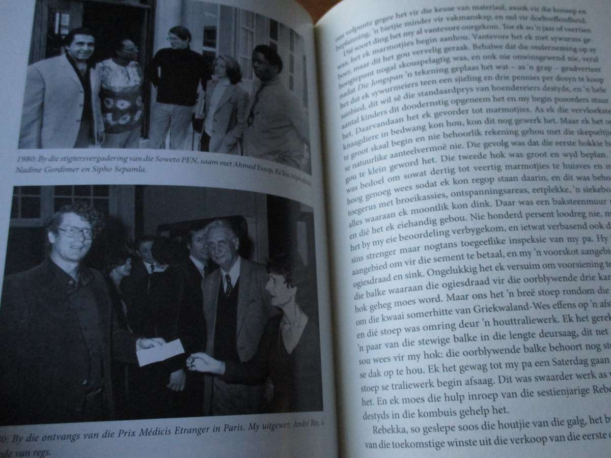 GETEKEN.  Andre P. Brink  'n Vurk in die Pad