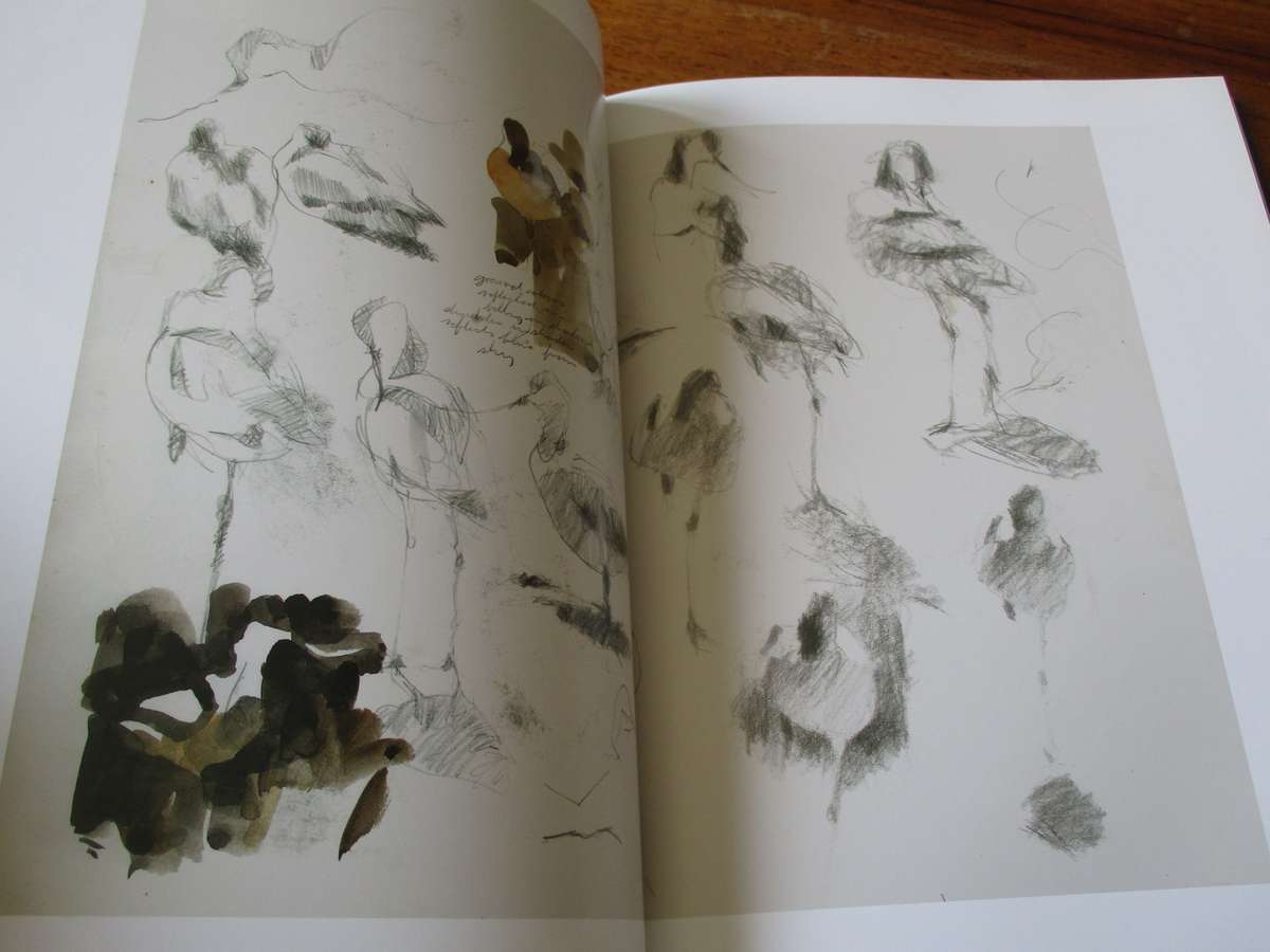 SIGNED. DYLAN LEWIS  An Untamed Force