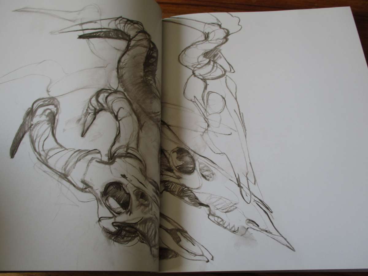 SIGNED. DYLAN LEWIS  An Untamed Force