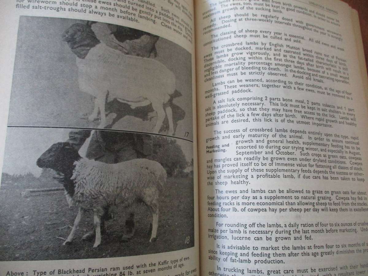 Handbook for Farmers in South Africa 1937