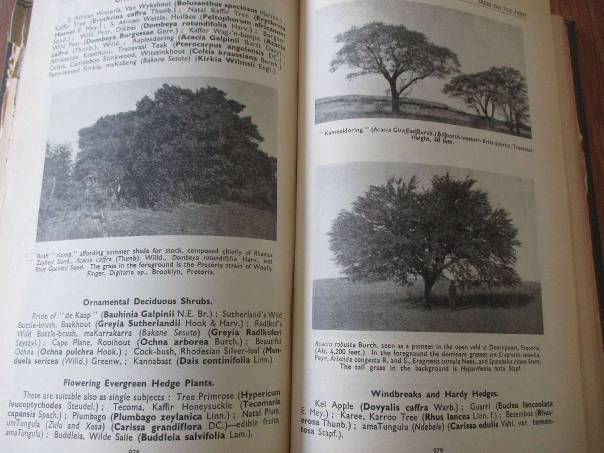 Handbook for Farmers in South Africa 1937