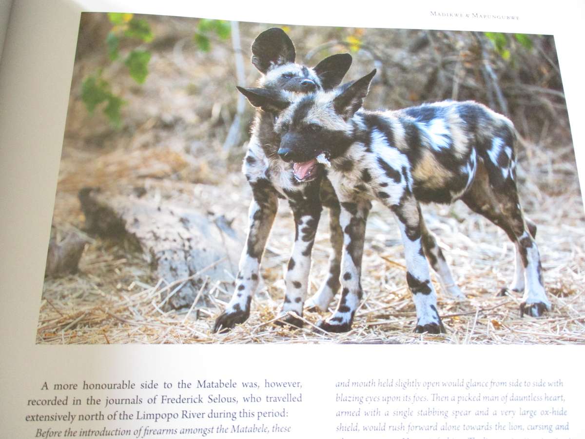 In search of the AFRICAN LION  Roger & Pat de la Harpe