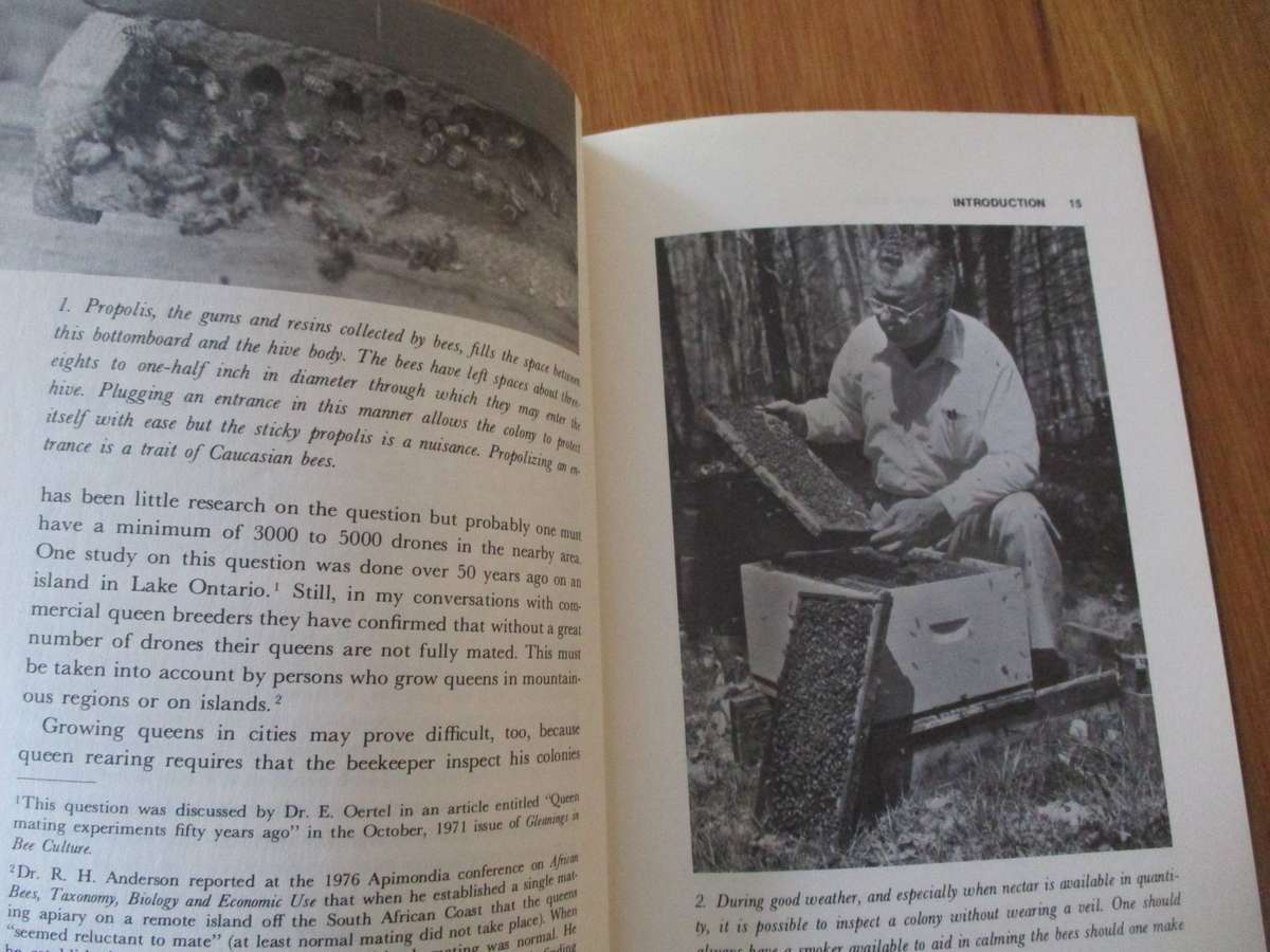 Rearing Queen Honey Bees - Roger A Morse