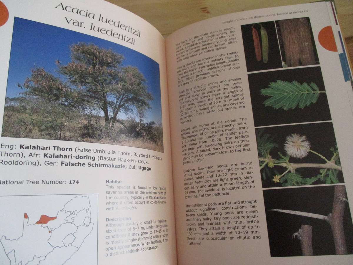 Field Guide to ACACIAS of South Africa