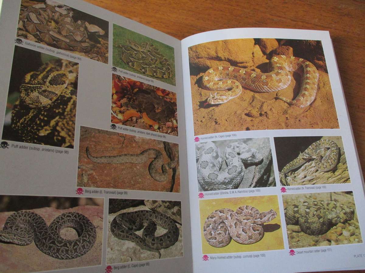 Field guide to Snakes and other Reptiles of Southern Africa Bill Branch