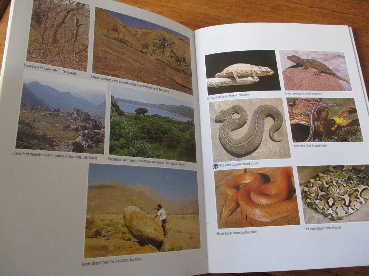 Field guide to Snakes and other Reptiles of Southern Africa Bill Branch