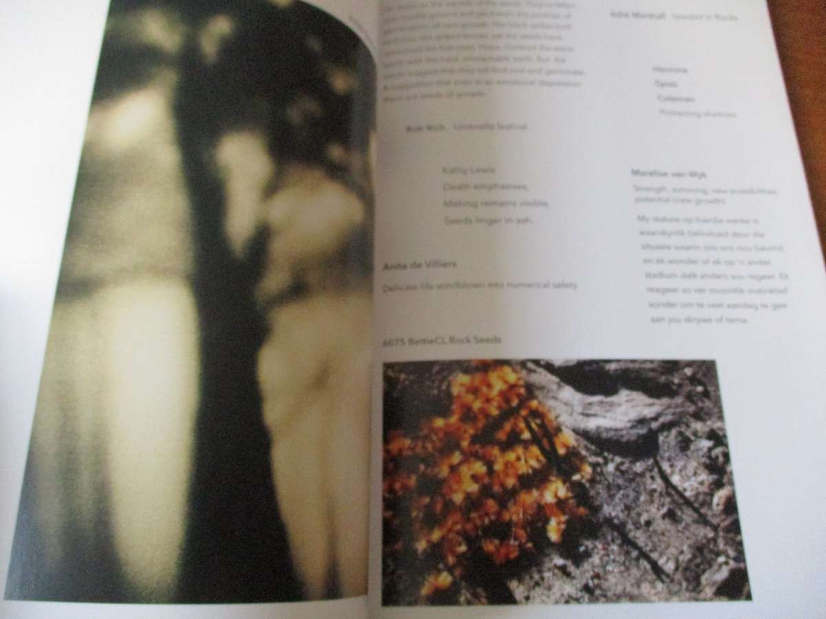 COVID-19 The Gift of Walls - Dys-U-Topia  Bettie Coetzee lambrecht