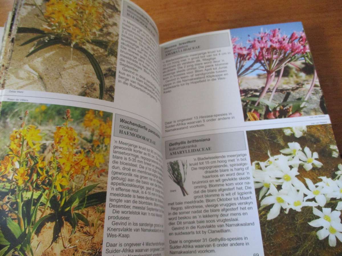 Namakwaland Veldblomgids van Suid-Afrika 1  Annelise le Roux