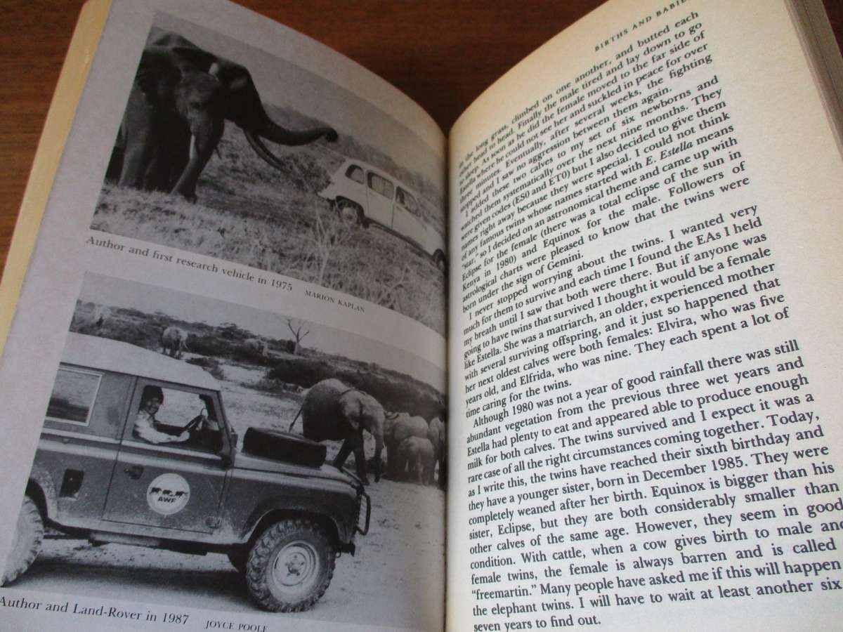 Elephant Memories  Thirteen years in the Life of a Elephant family Cynthia Moss