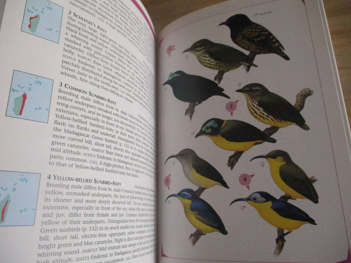 Birds of the Indian Ocean Islands