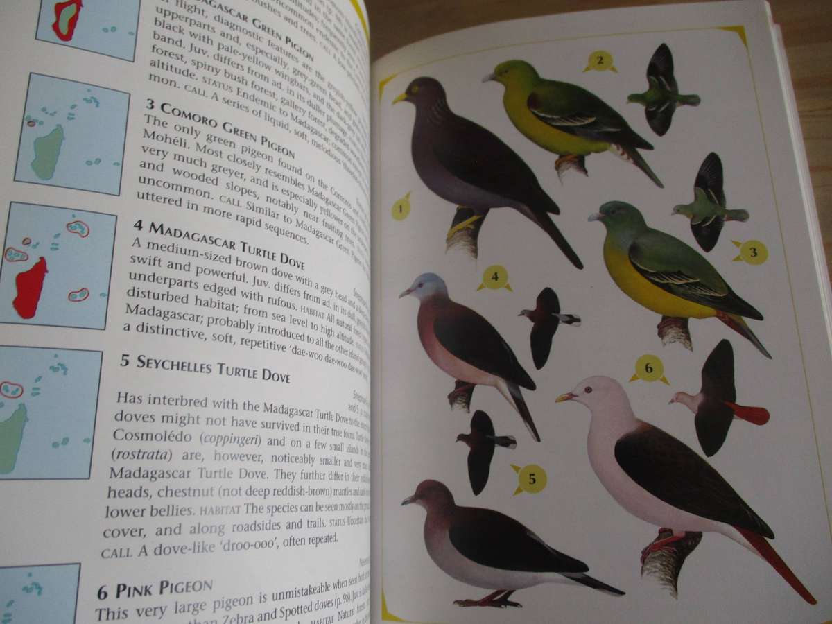 Birds of the Indian Ocean Islands