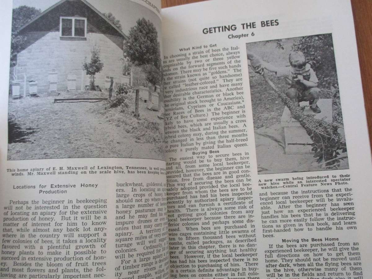 Starting Right with Bees