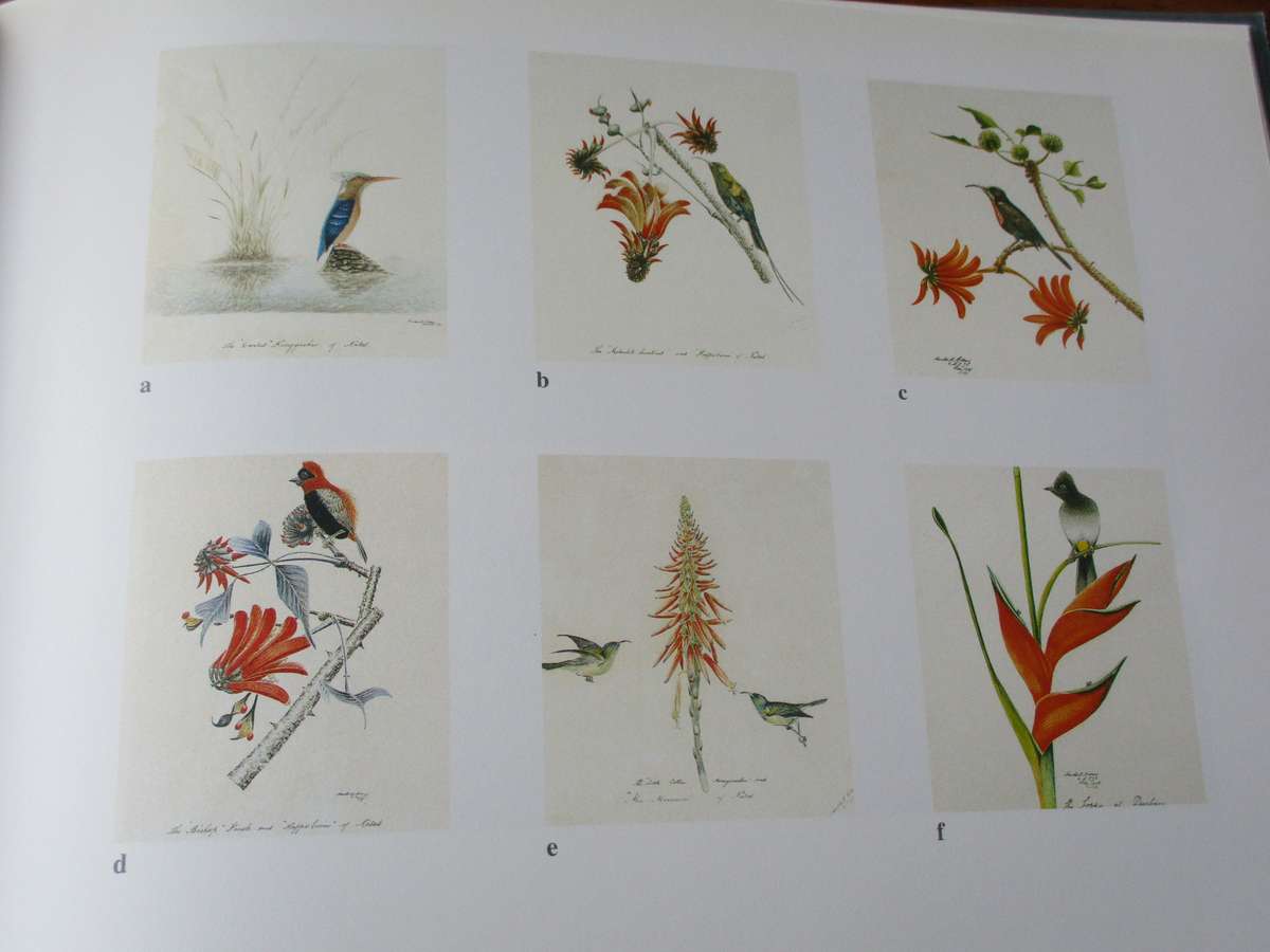 South African Paintings 1780 - 1980  M Stevenson D Viljoen