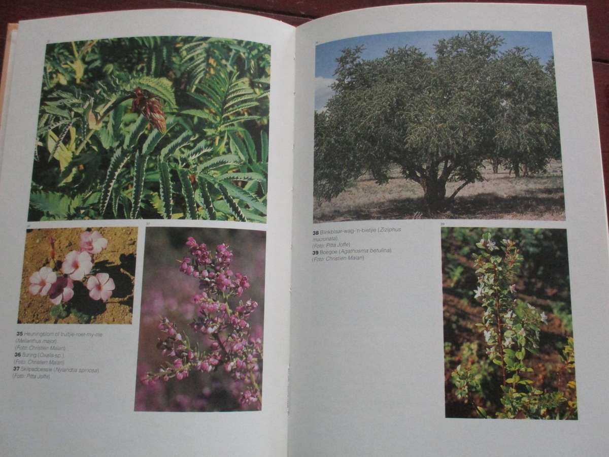 2 Betsie Rood boeke. Kos uit die Veldkombuis & Uit die Veldapteek