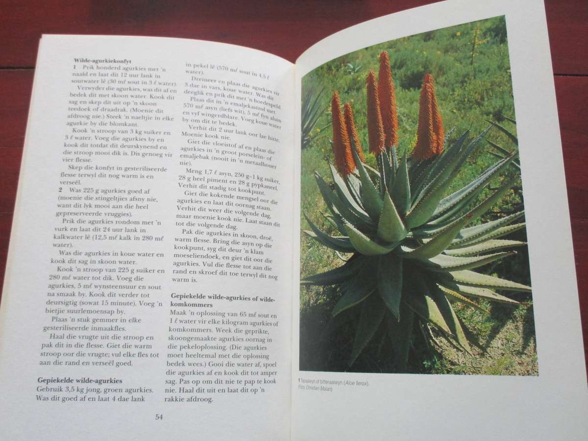 2 Betsie Rood boeke. Kos uit die Veldkombuis & Uit die Veldapteek