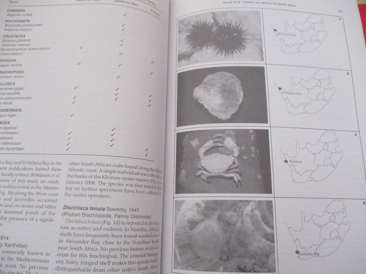 African Zoology - 7 Volumes