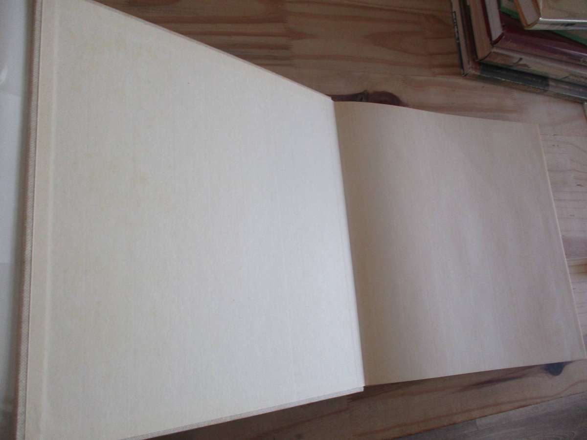 The Cape Sketchbooks of Sir Charles D'Oyly