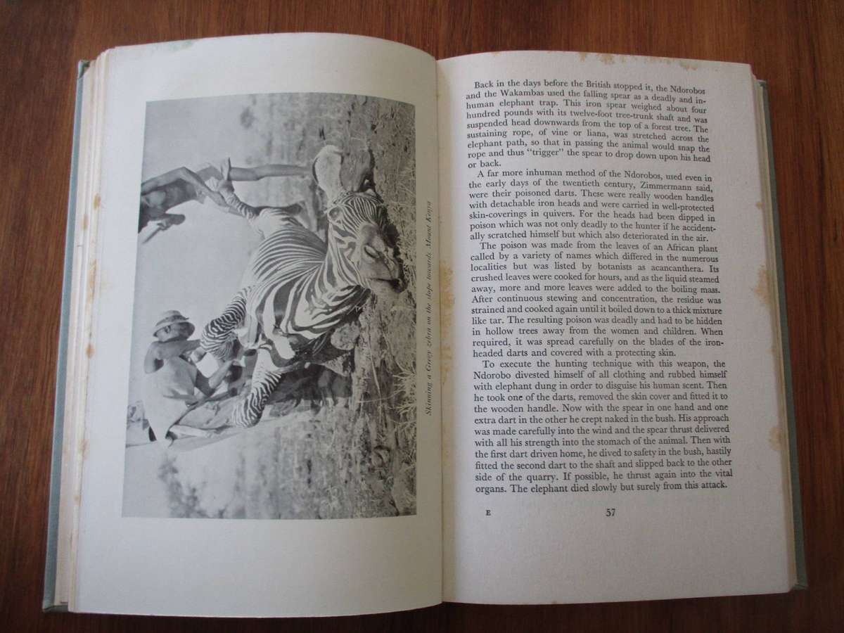 Between the Elephant's Eyes - Robert L Scott