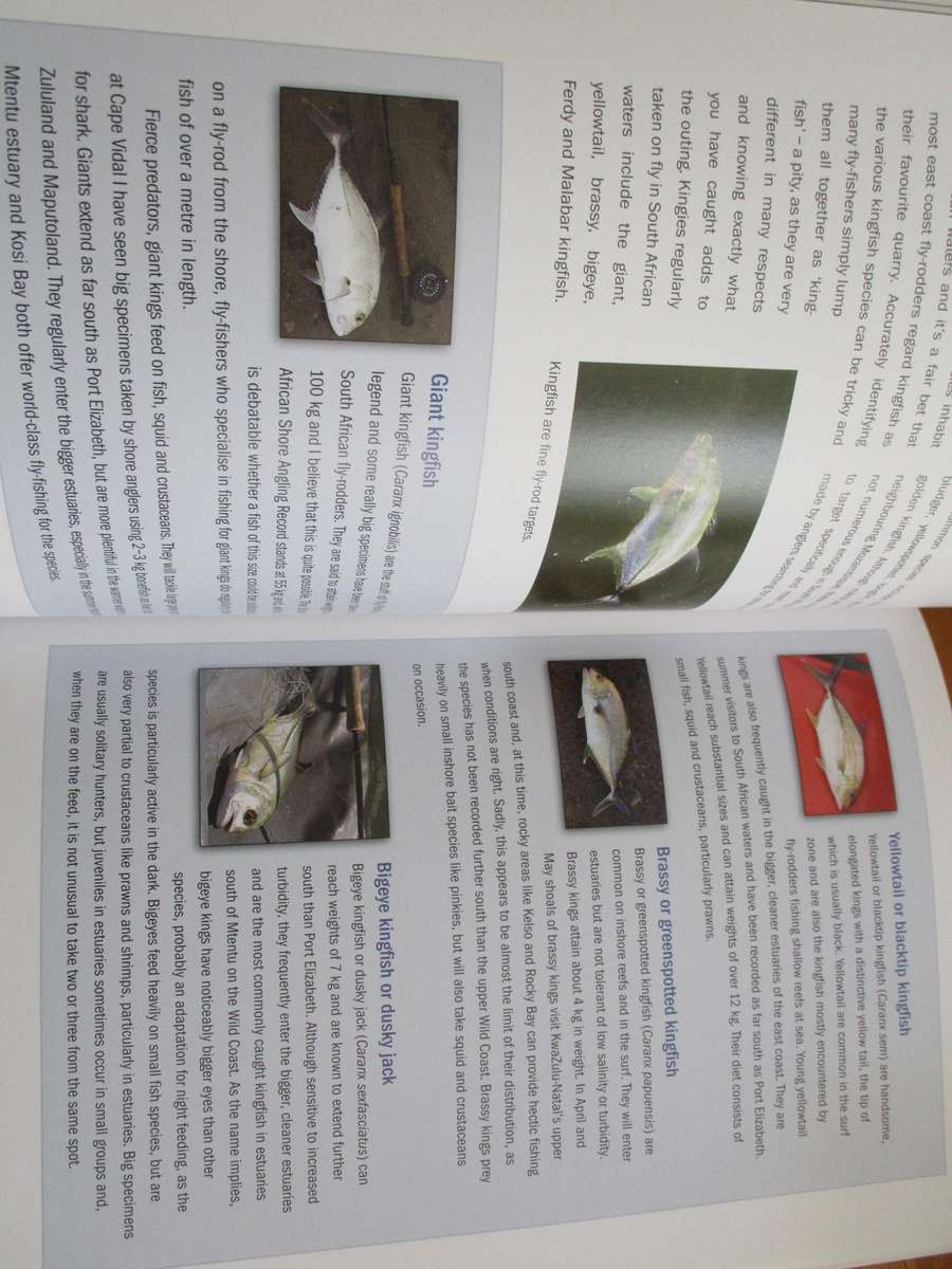 Saltwater Fly-Fishing in South Africa  Bruce Black