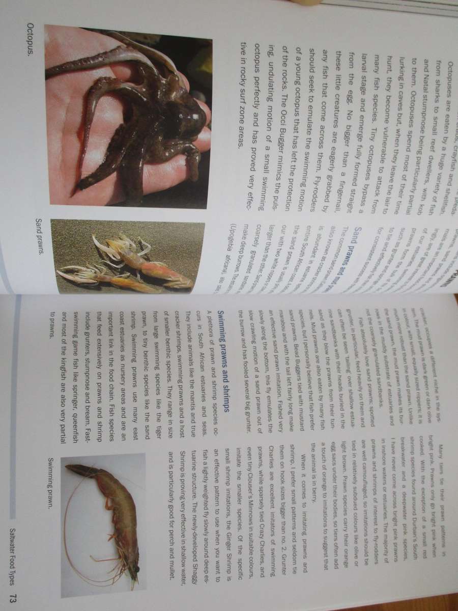 Saltwater Fly-Fishing in South Africa  Bruce Black