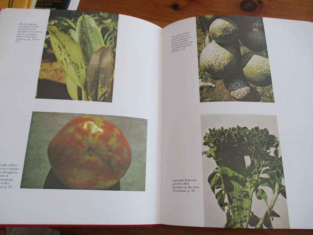 Plant Pests and Diseases - Practical Guide for the SA Gardener. Vincent A Wager