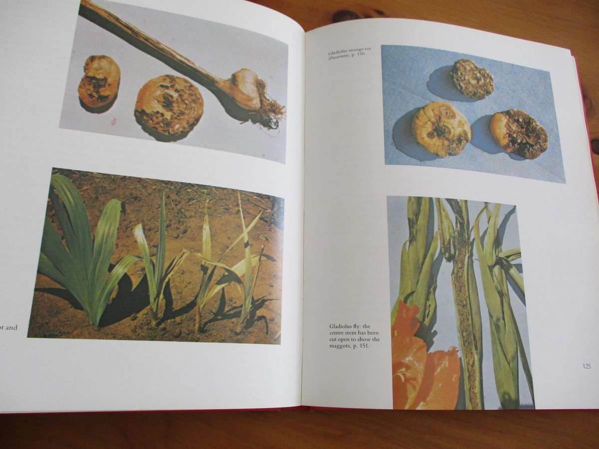 Plant Pests and Diseases - Practical Guide for the SA Gardener. Vincent A Wager