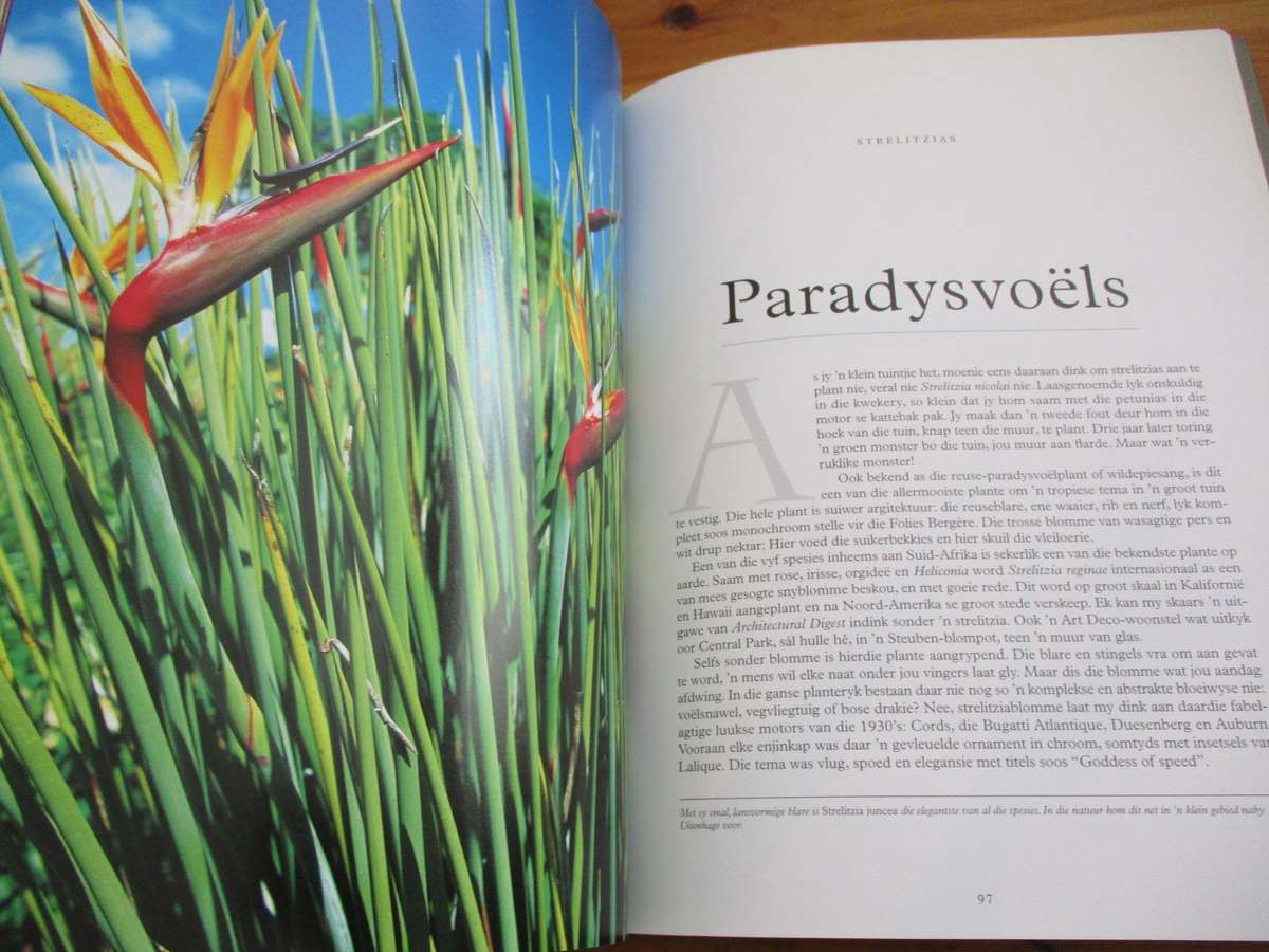 Immergroen  Stories oor plante  Dave Pepler Foto's deur Lien Botha