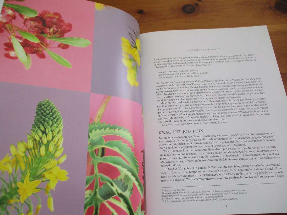 Immergroen  Stories oor plante  Dave Pepler Foto's deur Lien Botha