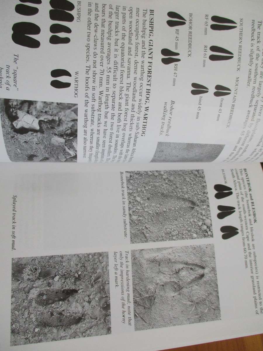 A Field guide to the Tracks & Signs of Southern and East African Wildlife Chris & Tilde Stuart