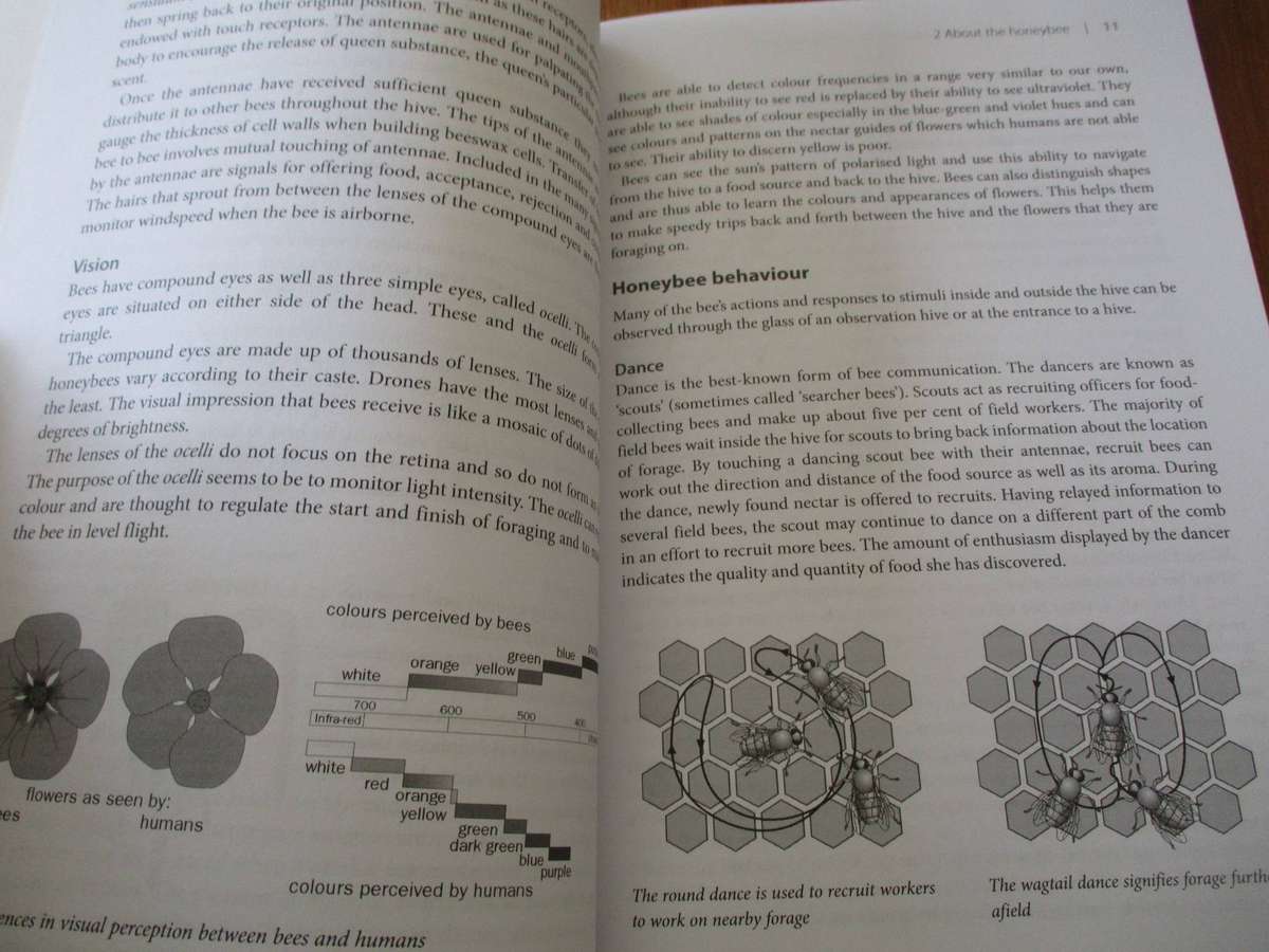 Beekeeping: A practical guide for southern Africa. D Marchand & J Marchand-Mayne