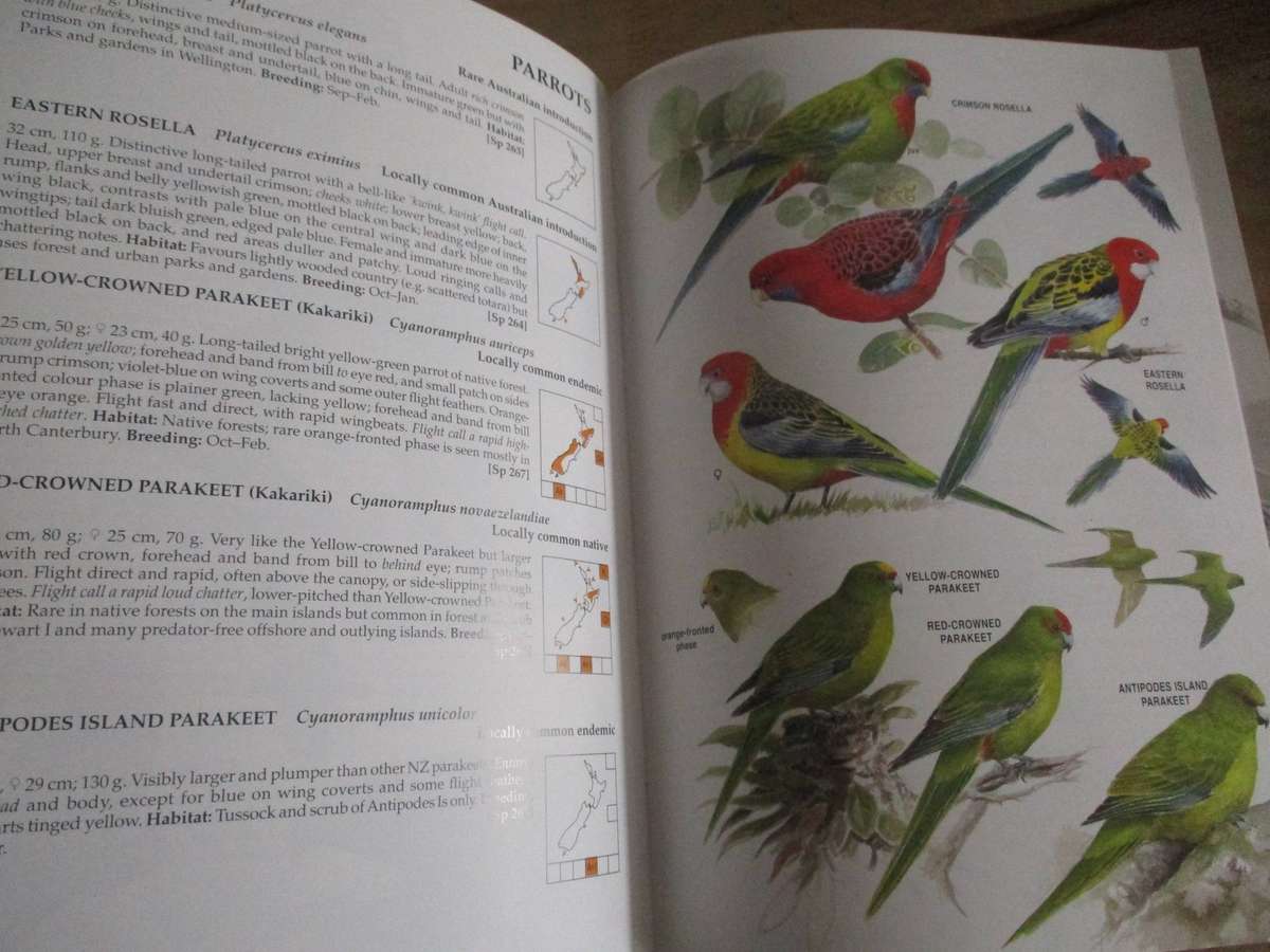 Field Guide to Birds of New Zealand