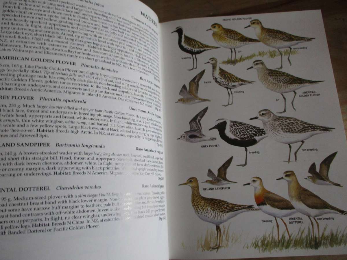Field Guide to Birds of New Zealand
