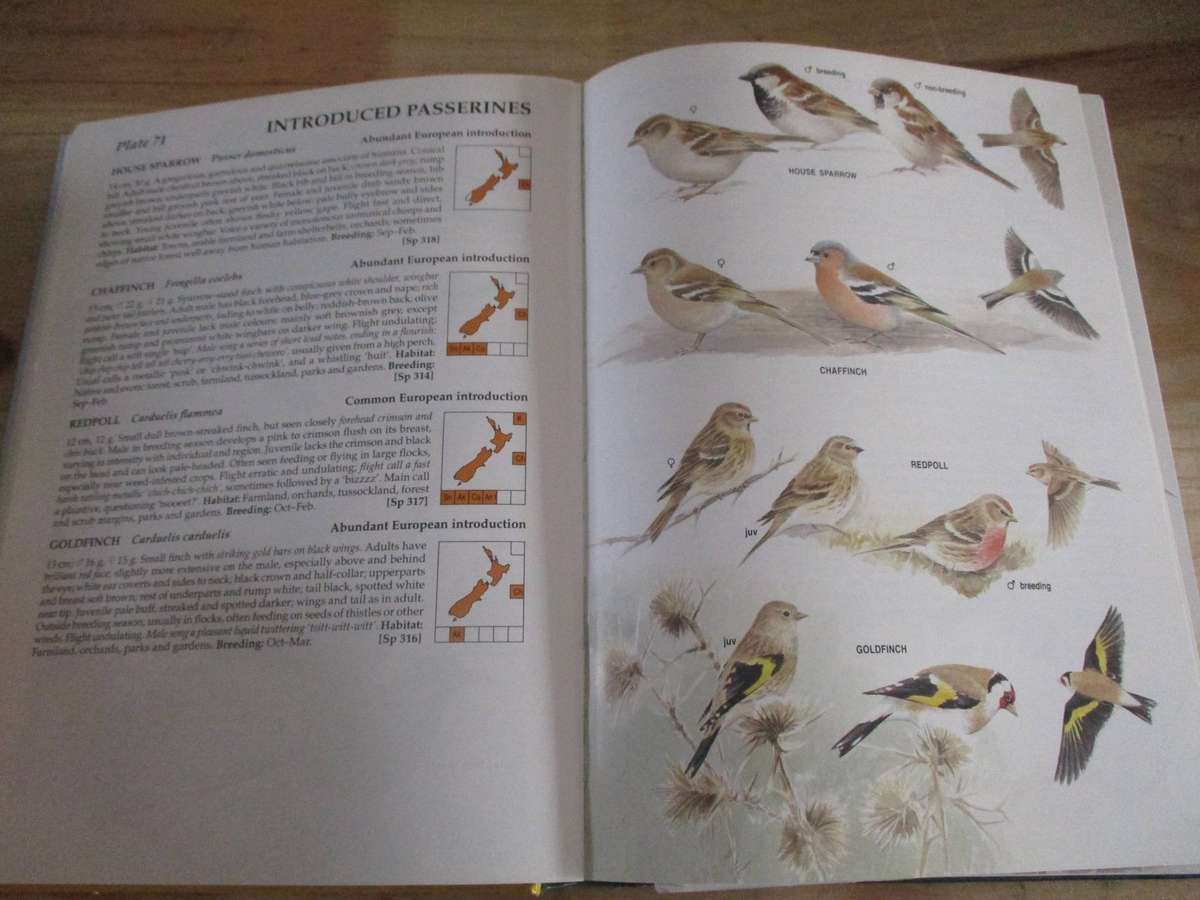 Field Guide to Birds of New Zealand