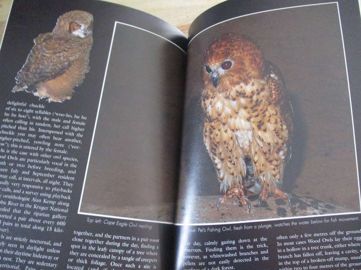 Sasol Owls and Owling in Southern Africa