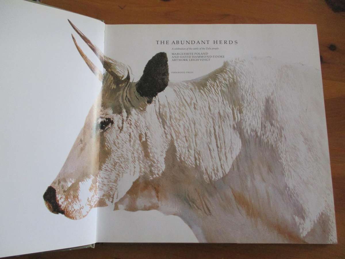 The Abundant Herds - A celebration of the Nguni cattle of the Zulu people