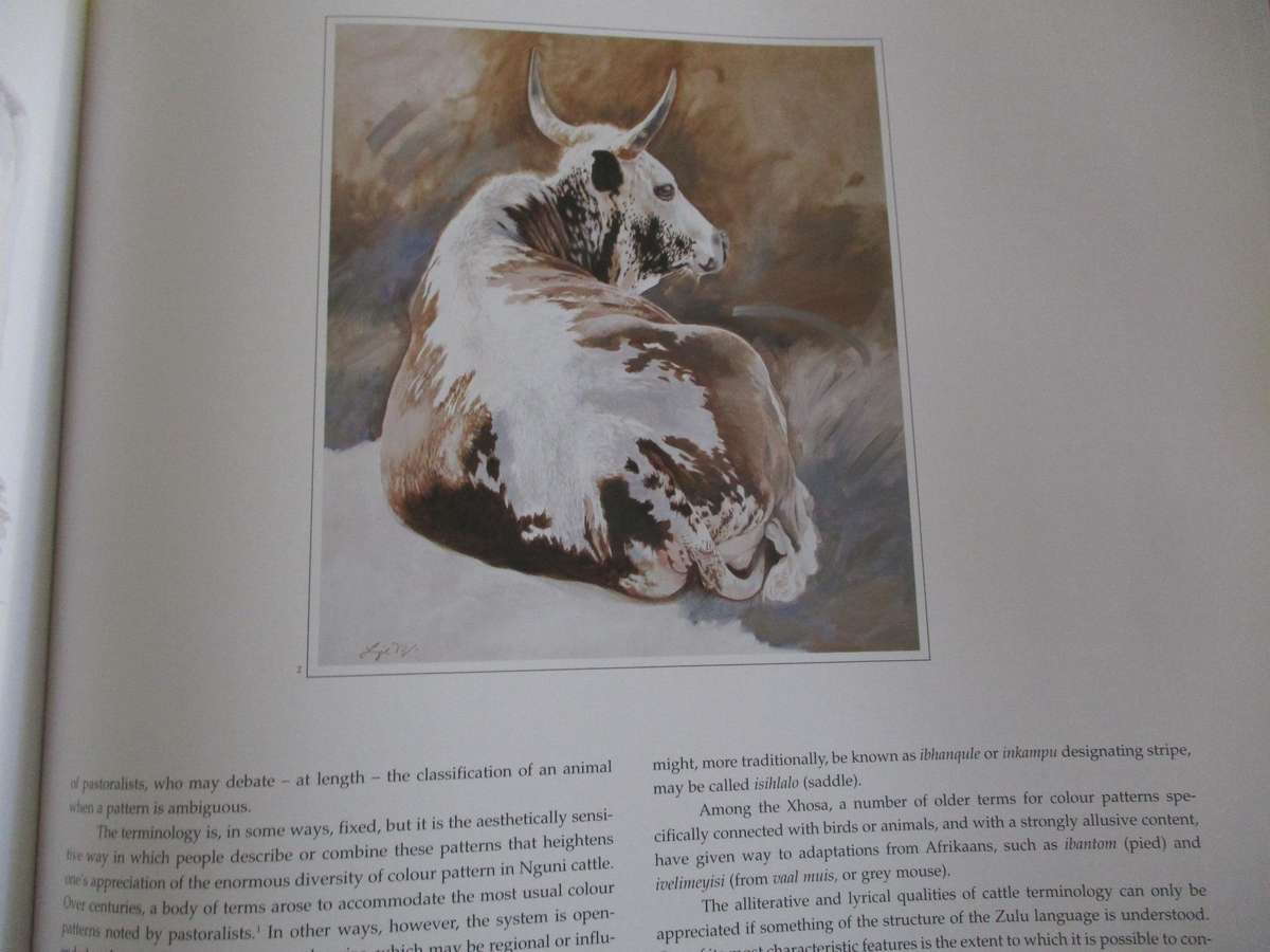 The Abundant Herds - A celebration of the Nguni cattle of the Zulu people