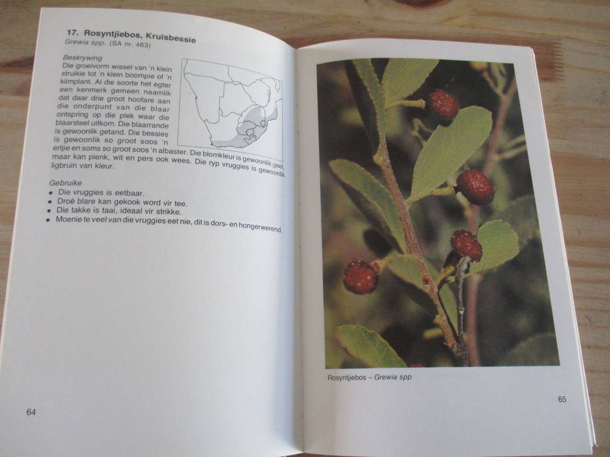 Oorlewing. 'n Handleiding. Deur PJ du Preez