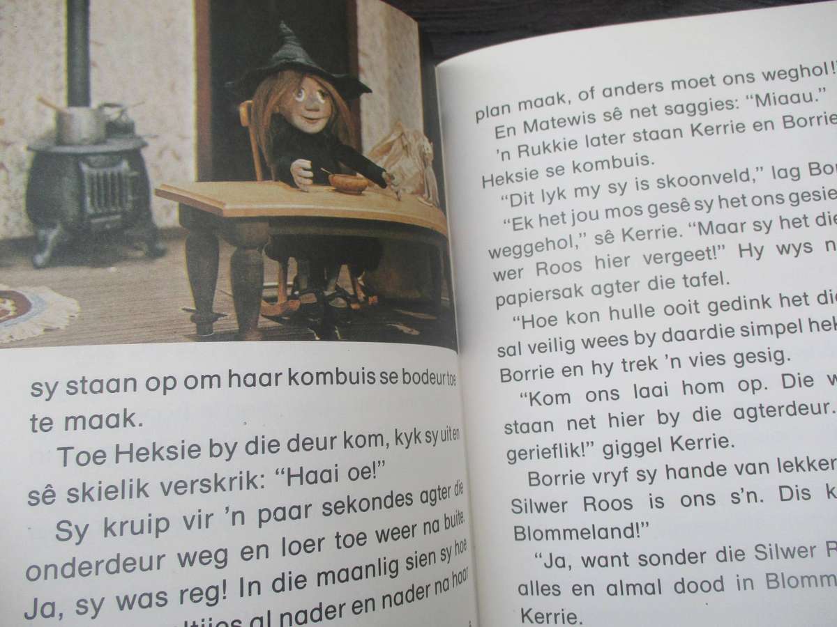 2 Liewe Heksie boeke