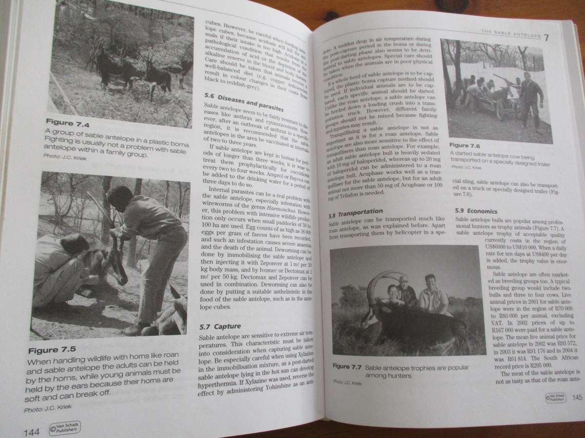 Intensive wildlife production in southern Africa