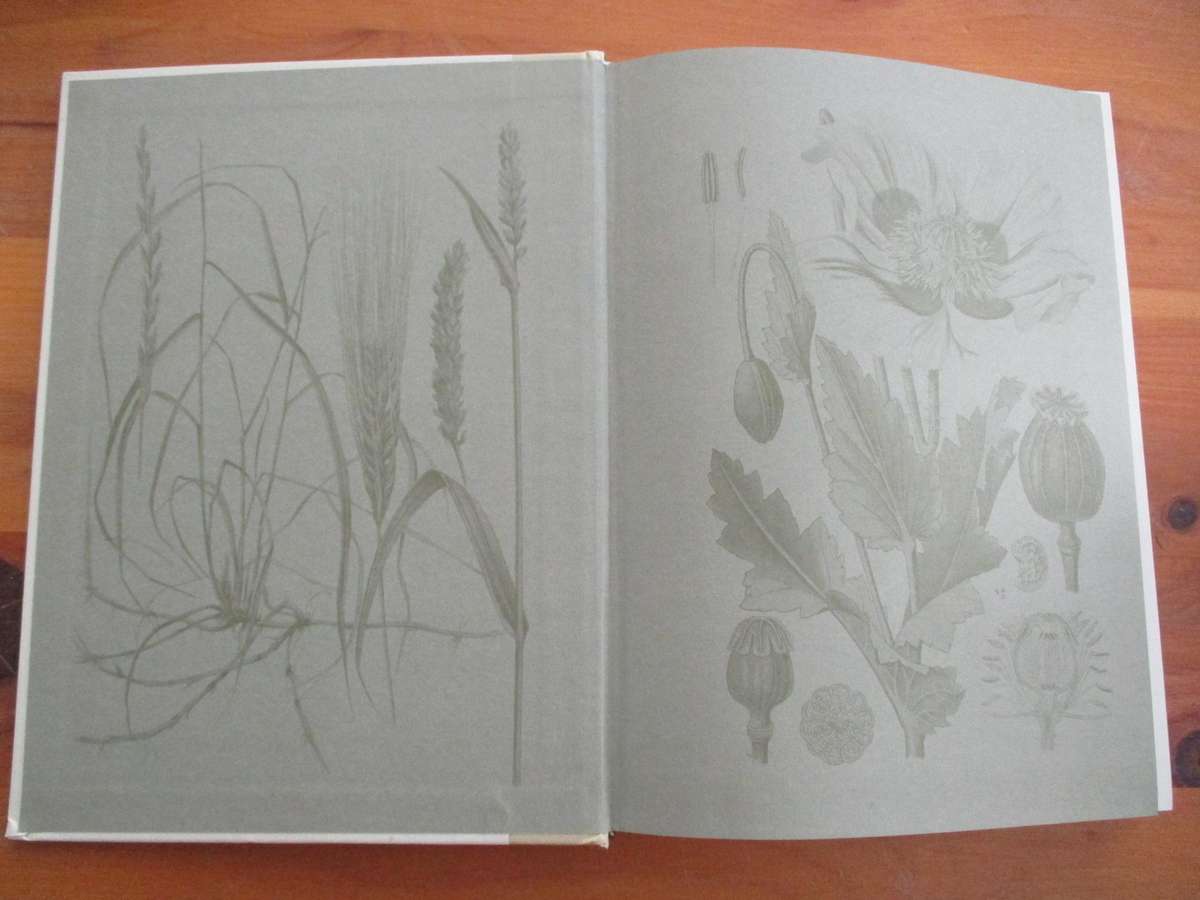 Fifty Plants that Changed the Course of History