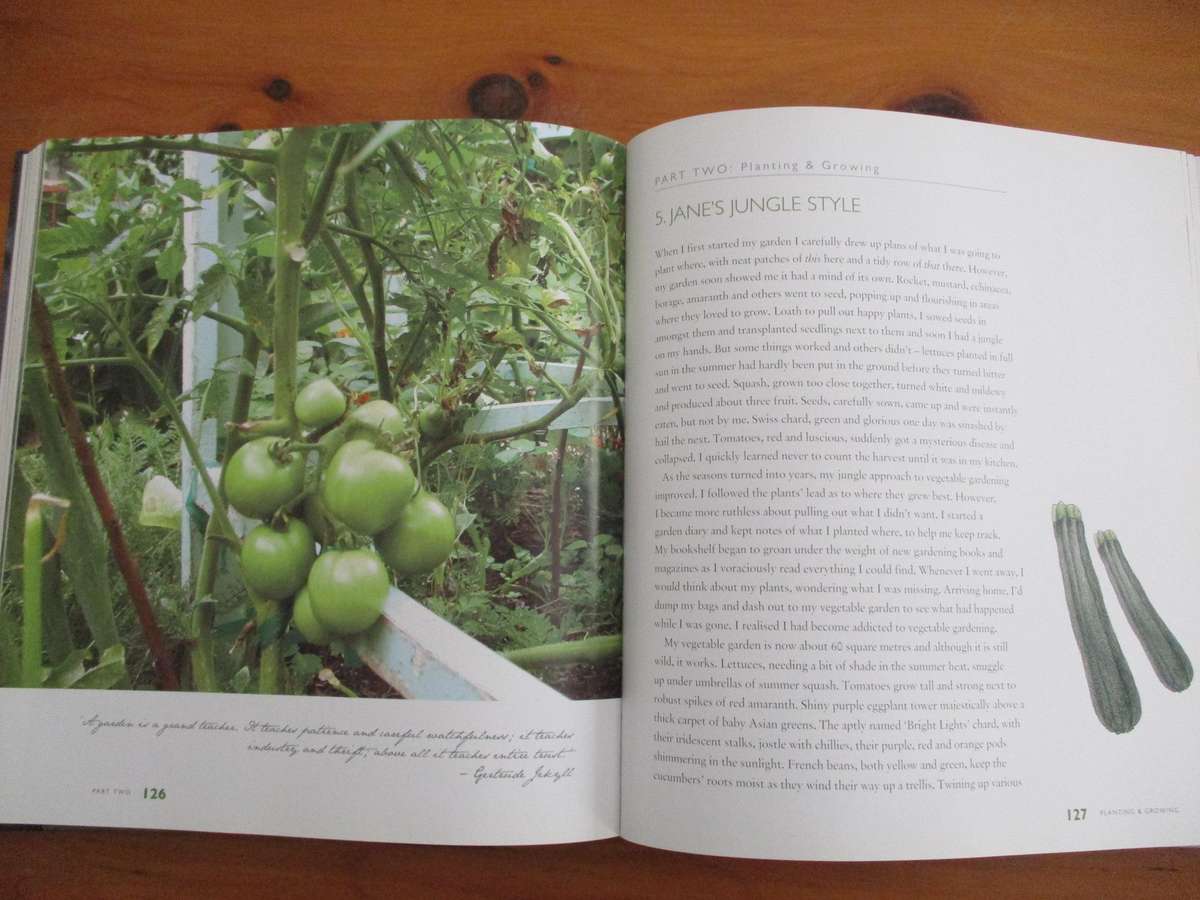 JANE'S DELICIOUS GARDEN - How to grow organic vegetables and herbs in SA. Jane Griffiths