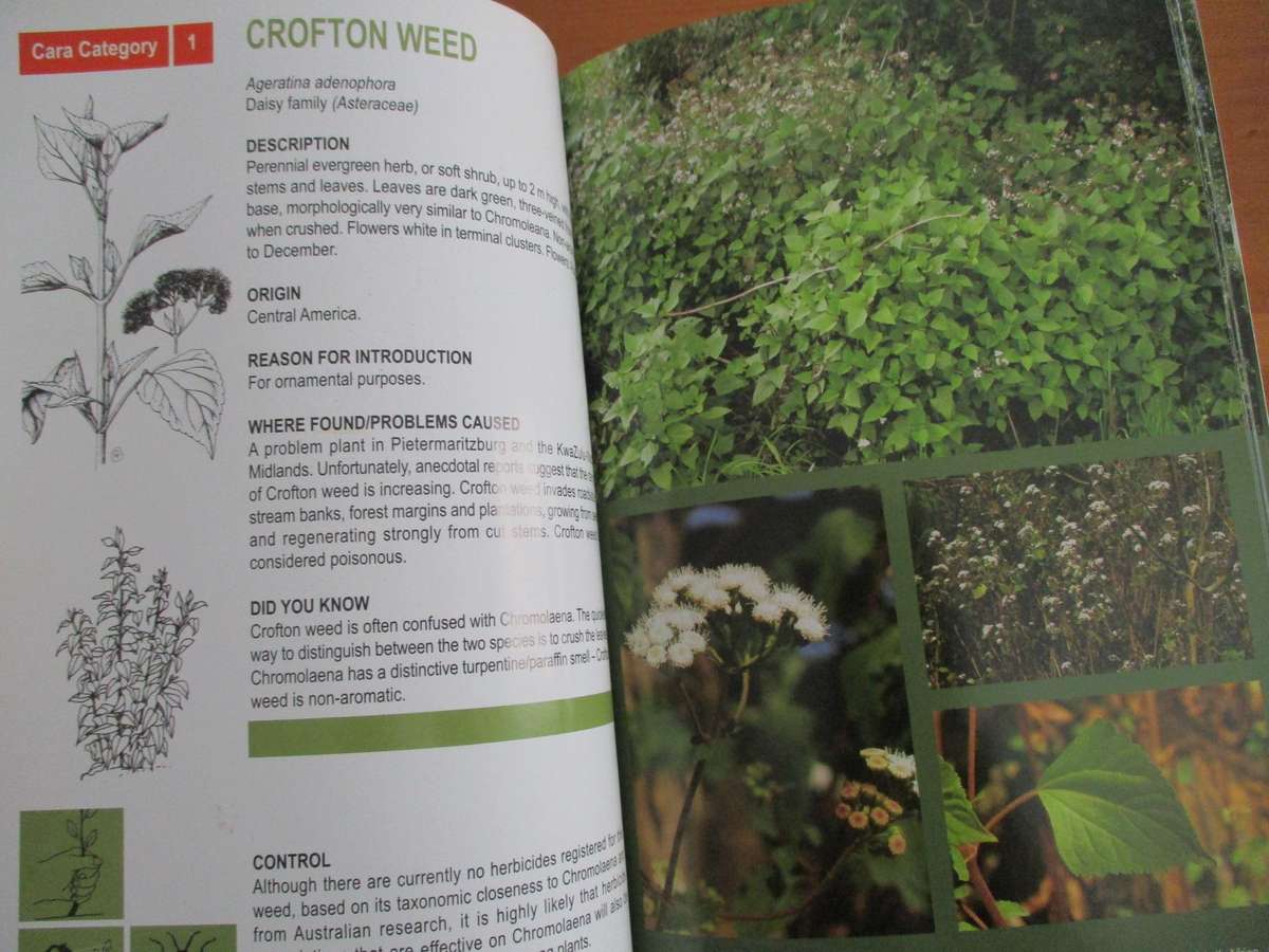 Invasive alien plants in Kwazulu-Natal  Managment and control