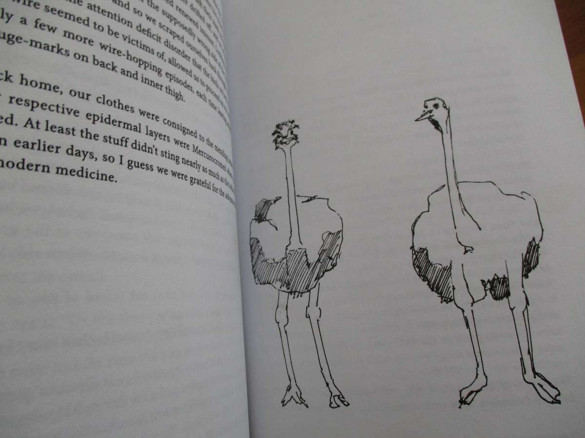 ROCKLANDS on the Old Britstown Road. True stories by Etienne Blomerus