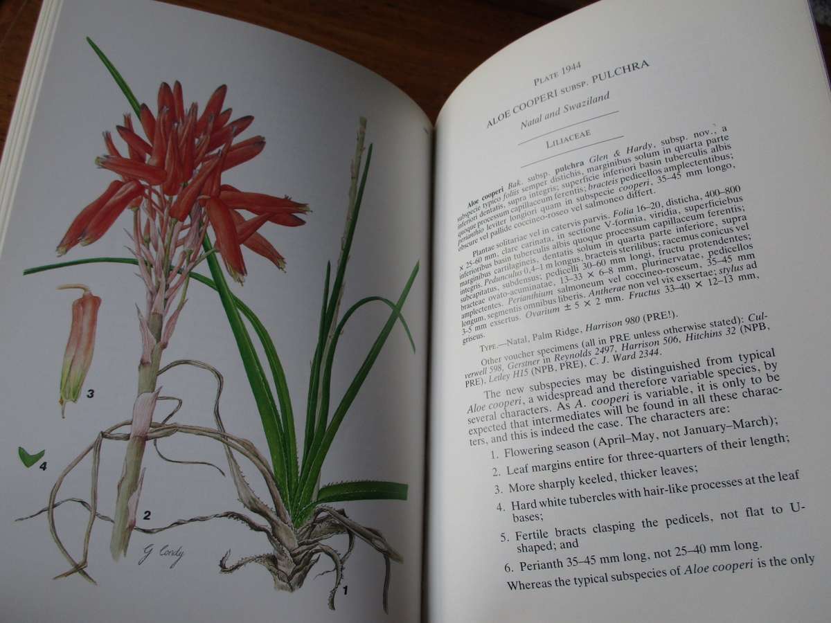 Flowering Plants of Africa Vol.49  D.J.B Killick and E. Du Plessis