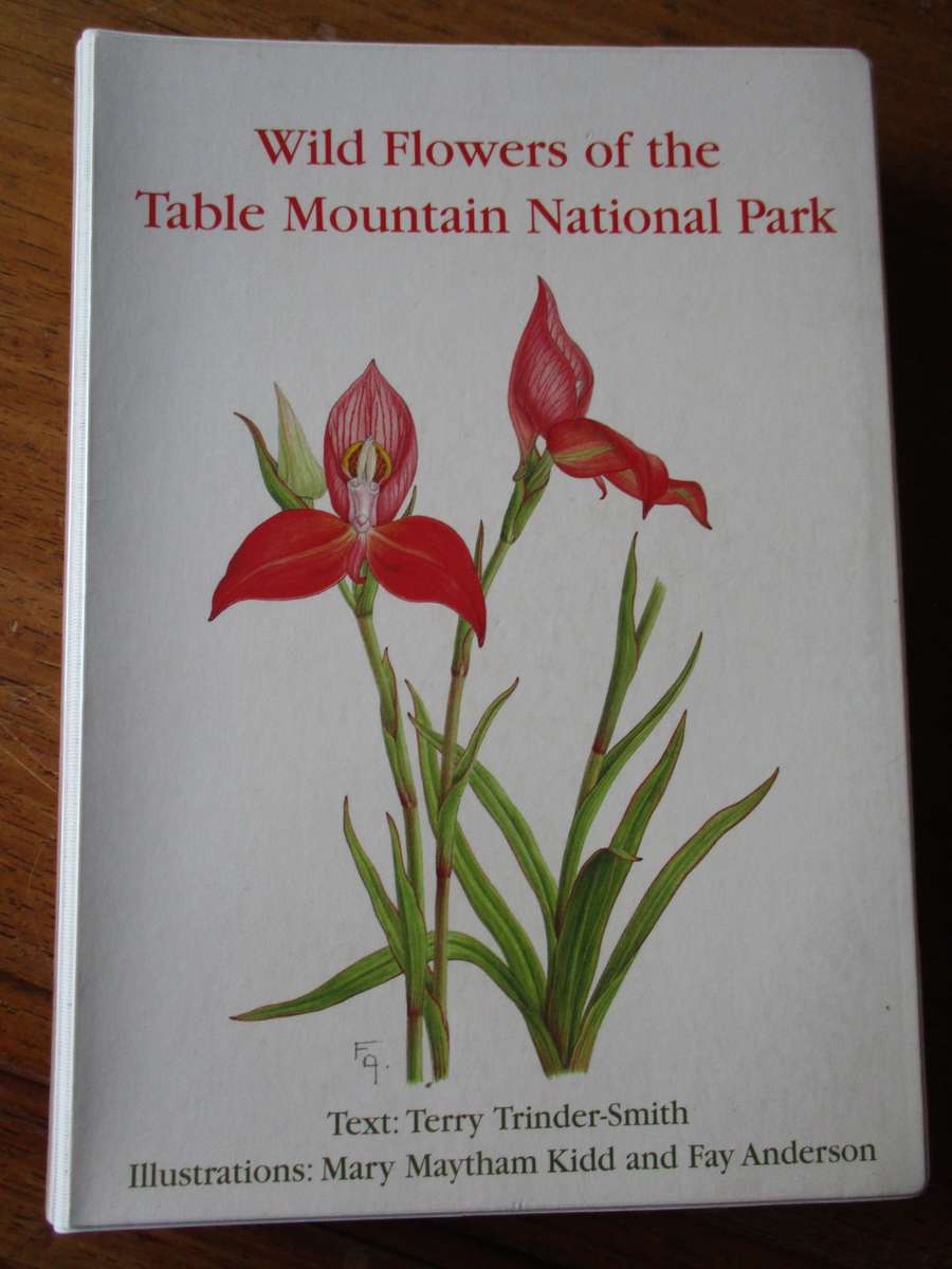 Wild Flowers of the Table Mountain National Park  Terry Trinder-Smith  M Maytham Kidd Fay Anderson