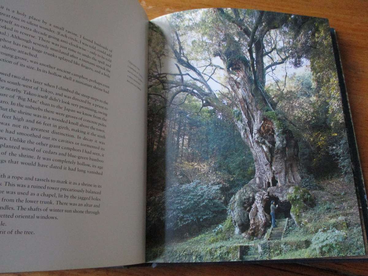 Remarkable Trees of the World THOMAS PAKENHAM