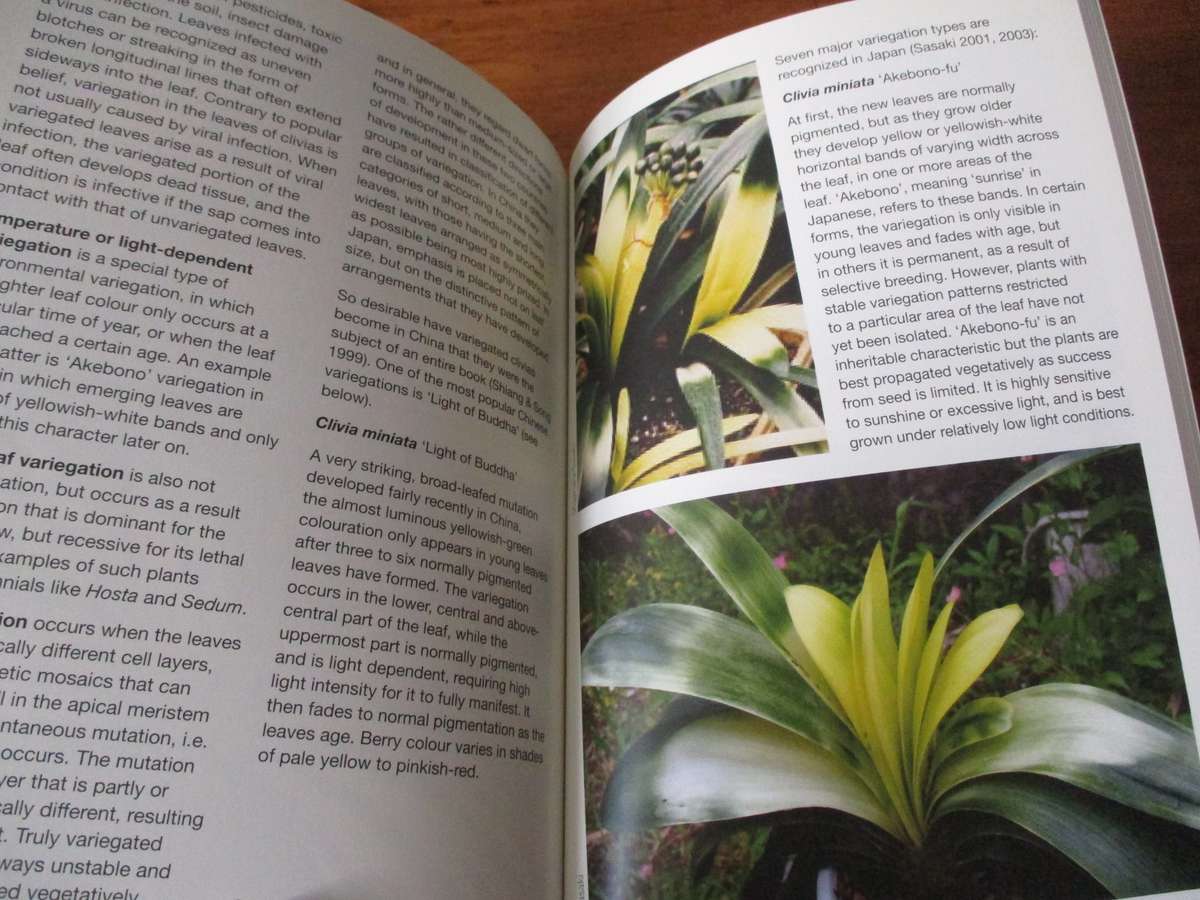 GROW CLIVIAS Graham Dunca  - Kirstenbosch Gardening Series