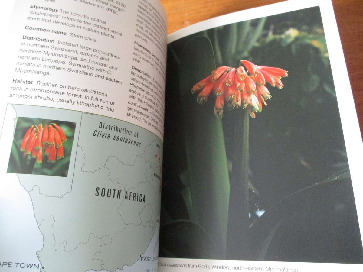 GROW CLIVIAS Graham Dunca  - Kirstenbosch Gardening Series