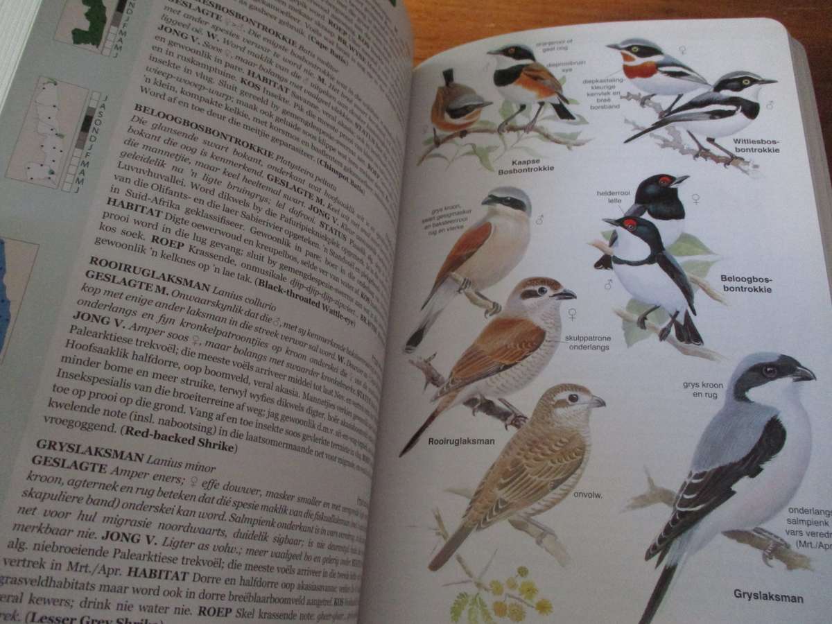 ROBERTS VOELGIDS  Nasionale Krugerwildtuin en aangrensende Laeveld Chittenden Whyte